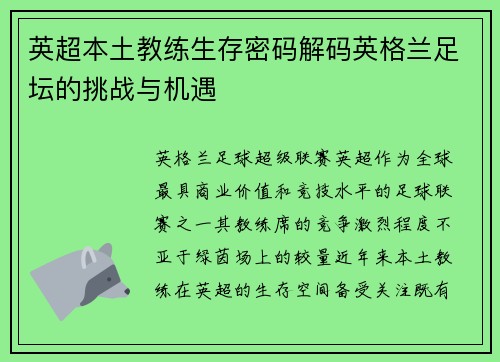 英超本土教练生存密码解码英格兰足坛的挑战与机遇